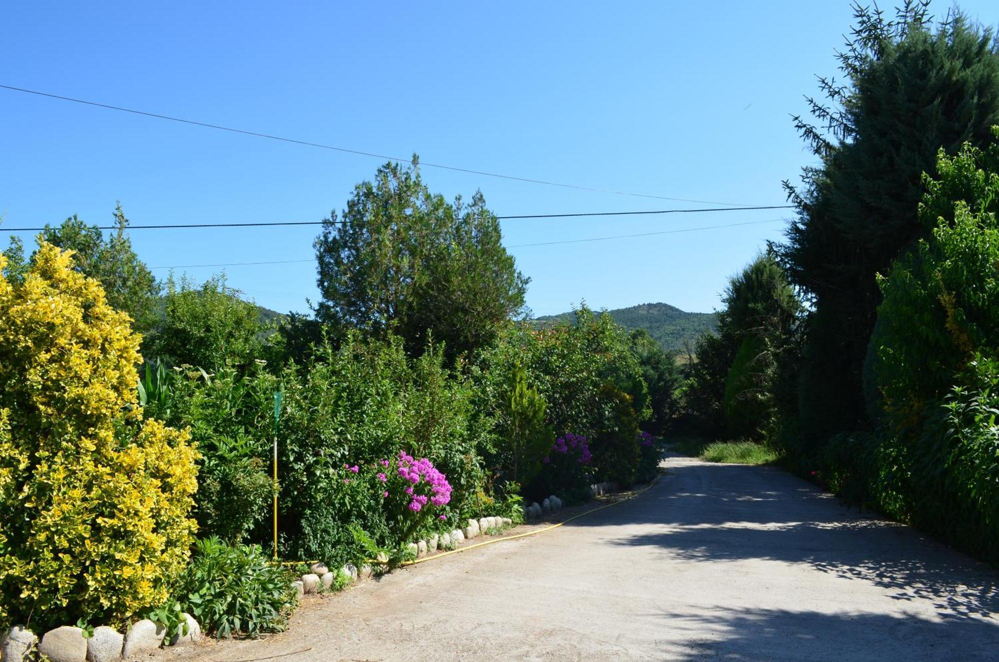 Casa Rural La Vall Del Cadi Ла Сеу д'Ургел Екстериор снимка